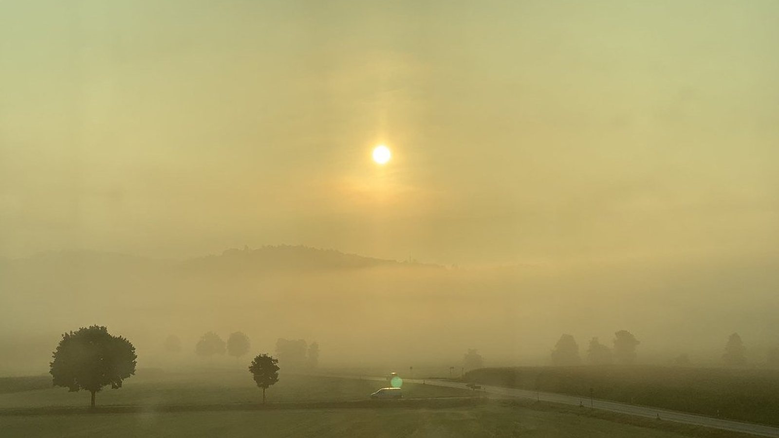 列車の窓の外に、霧のかかった野原と低い太陽が見える写真